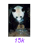 Panda11