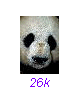 Panda12