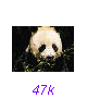 Panda14