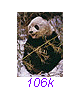 Panda16