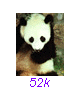 Panda27