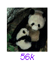 Panda30
