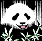 Chris's Giant Panda Pages